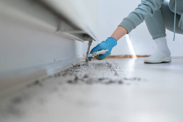 Best Wildlife Control Services  in Toro Nyon, CA